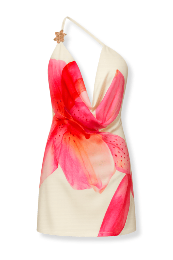 Arizona - Dress