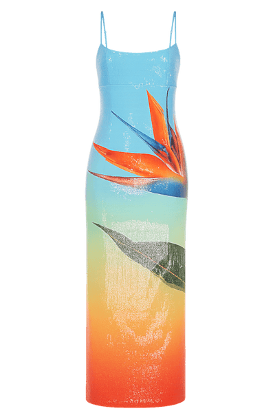 Ladia - Dress
